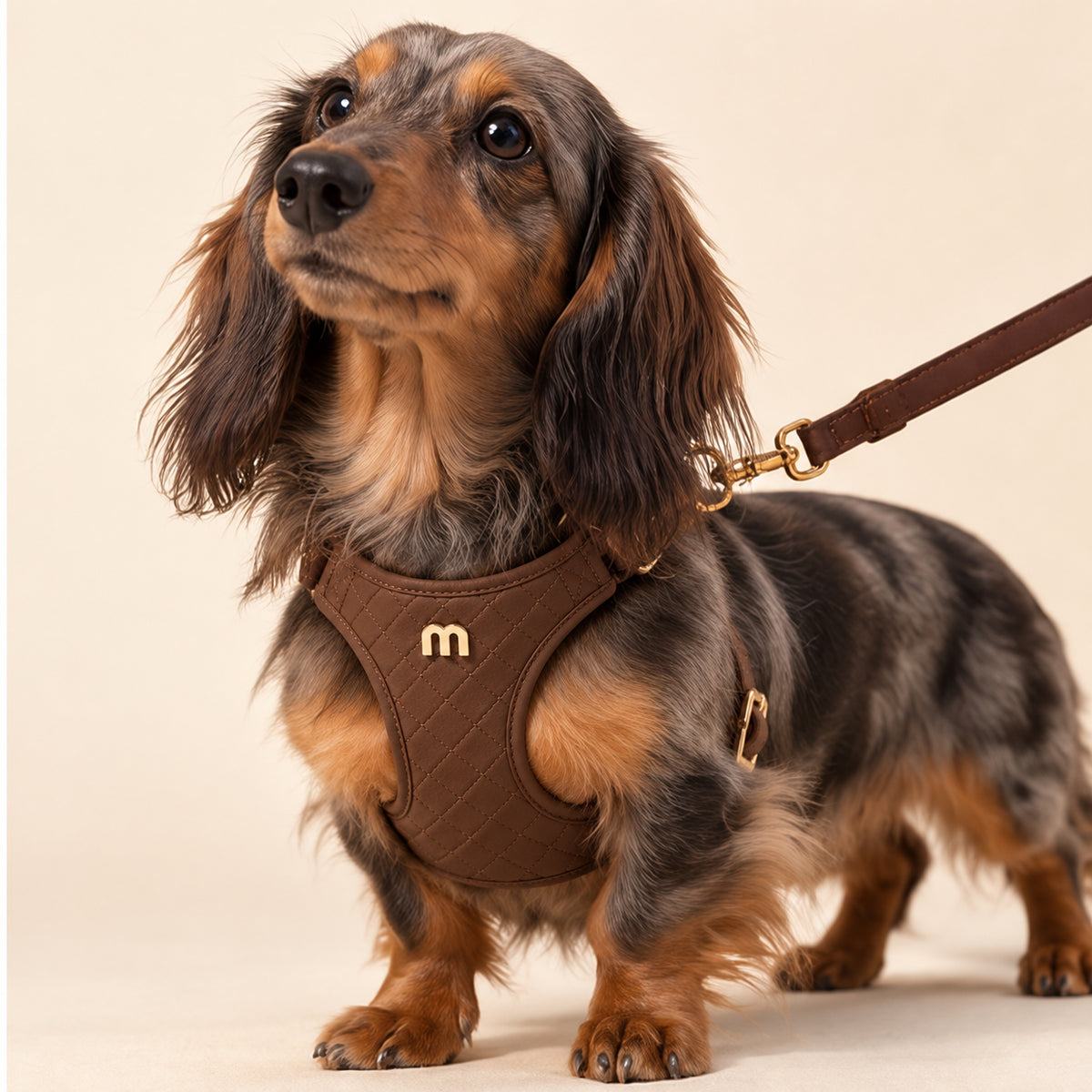 Neck and chest straps on the Textured Leather Harness