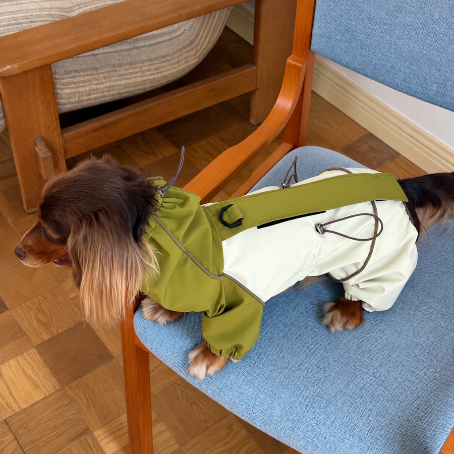 Dachshund Adventure Suit, photo 2