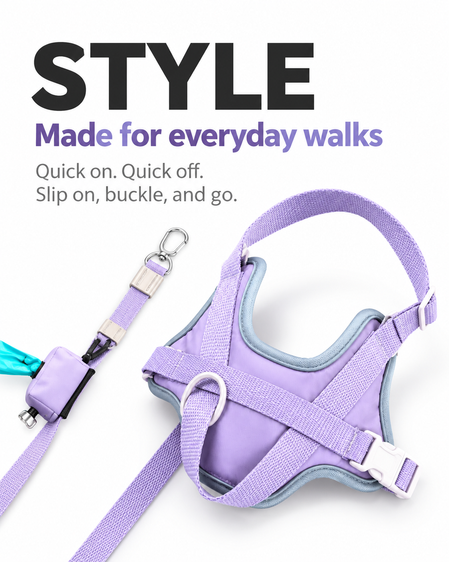 Reflective Harness & Leash Set — set