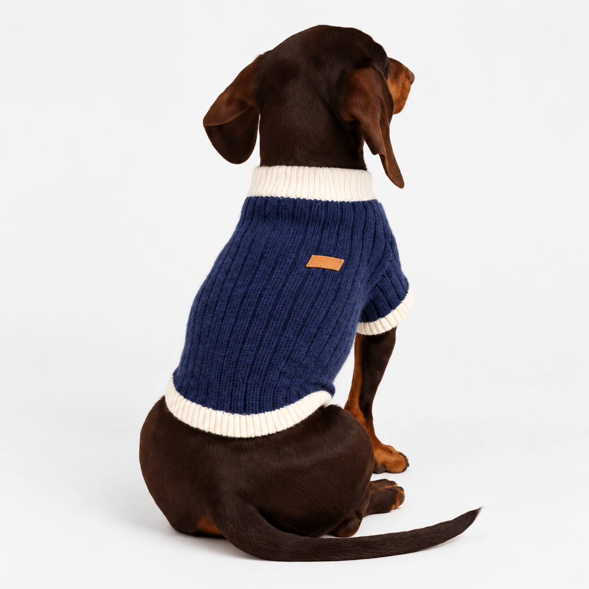 Wool-Blend High-Collar Sweater — back