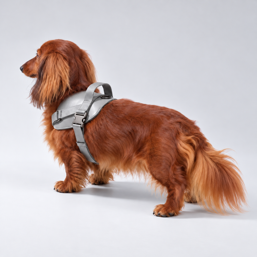 Vegan Leather Saddle Harness — lifestyle