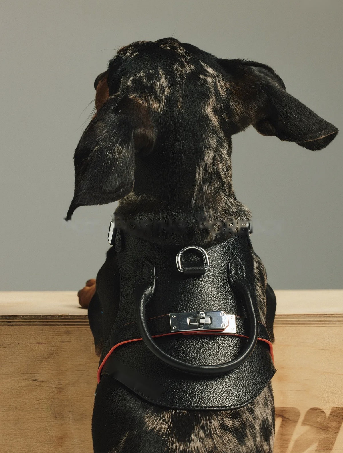 Black Leather Top-Handle Harness, photo 1