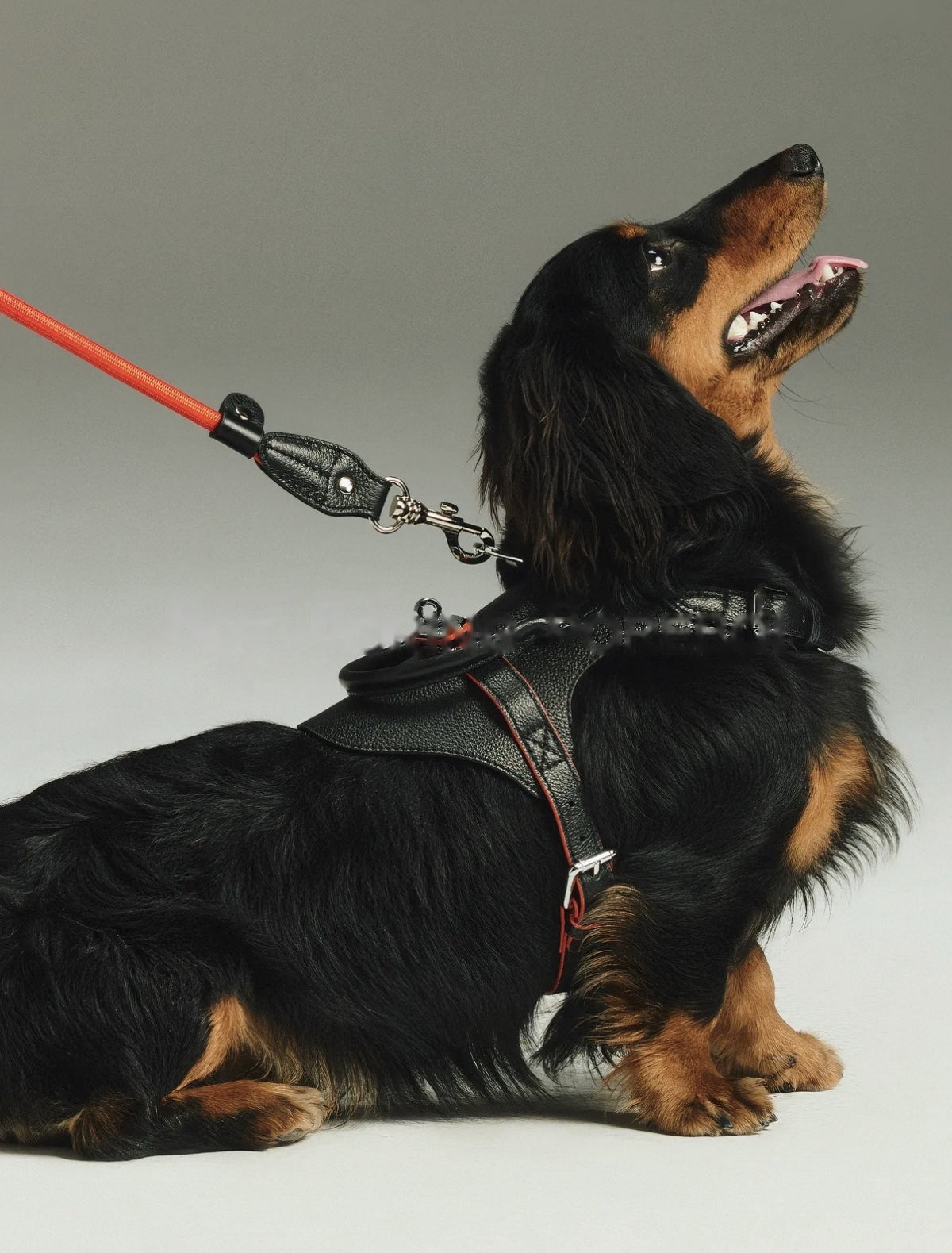 Black Leather Top-Handle Harness, photo 5