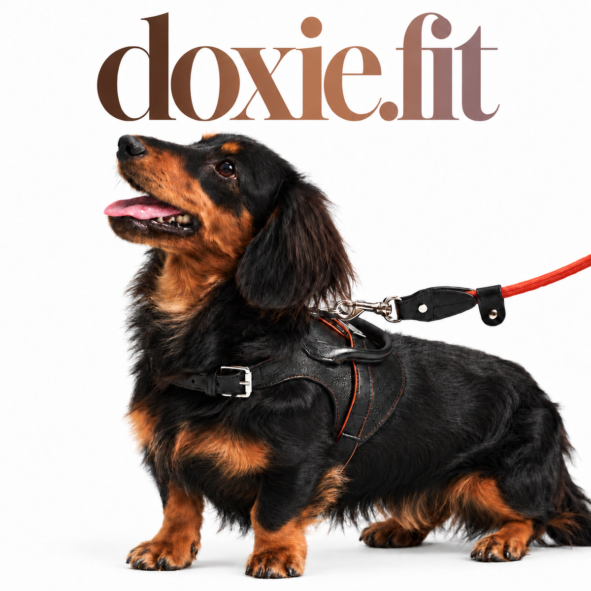 Black Leather Top-Handle Harness