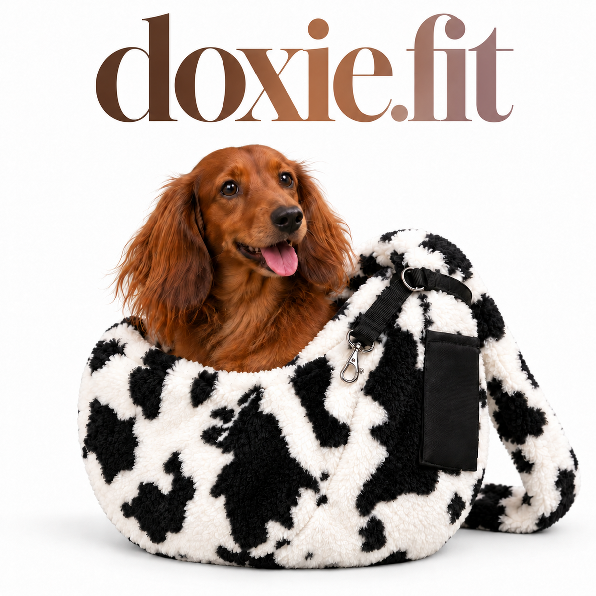 Cow-Print Fleece Sling Carrier on a dachshund, white studio background with centered gradient doxie.fit wordmark