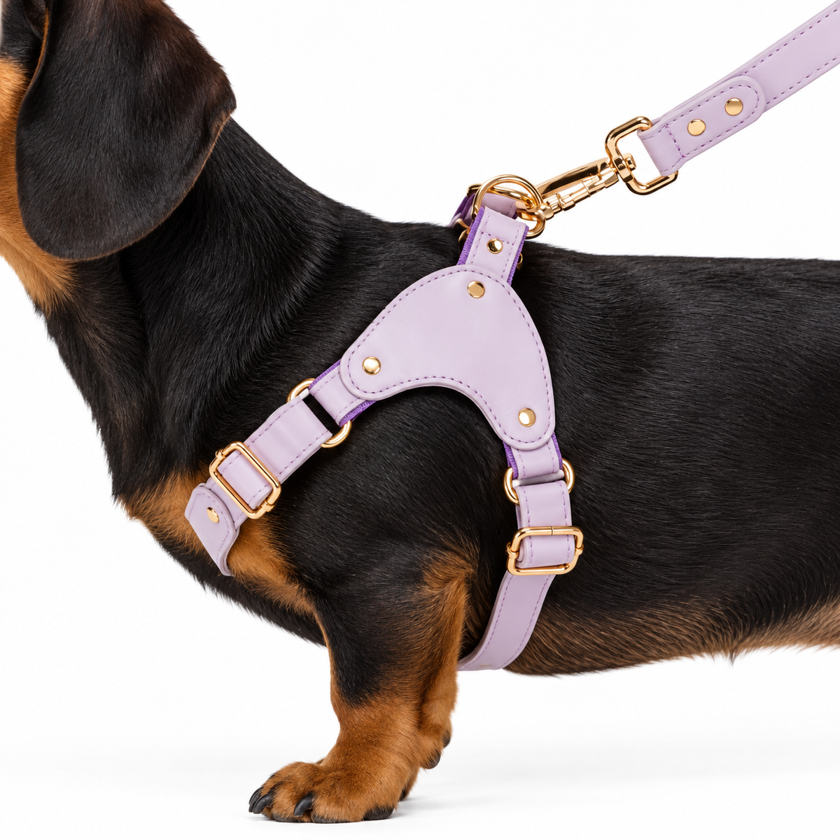 Smooth Calf Leather Harness, photo 12
