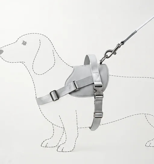 Outline of a dachshund in a harness, with the leash clipped on its back