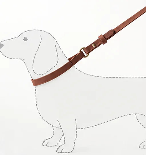 Outline of a dachshund with a leash looped around its neck