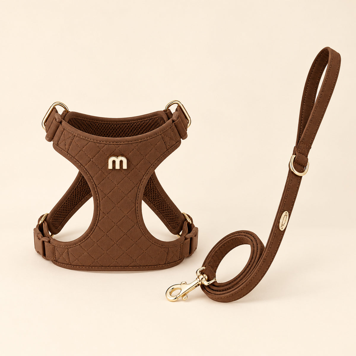 Textured Leather Harness & Leash Set — harness and matching leash included