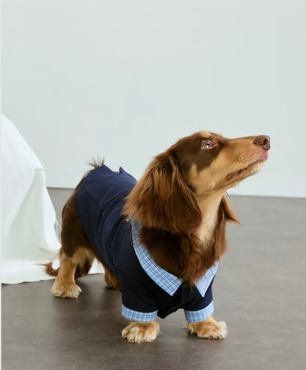 Gingham-Collar Knit Polo, photo 4