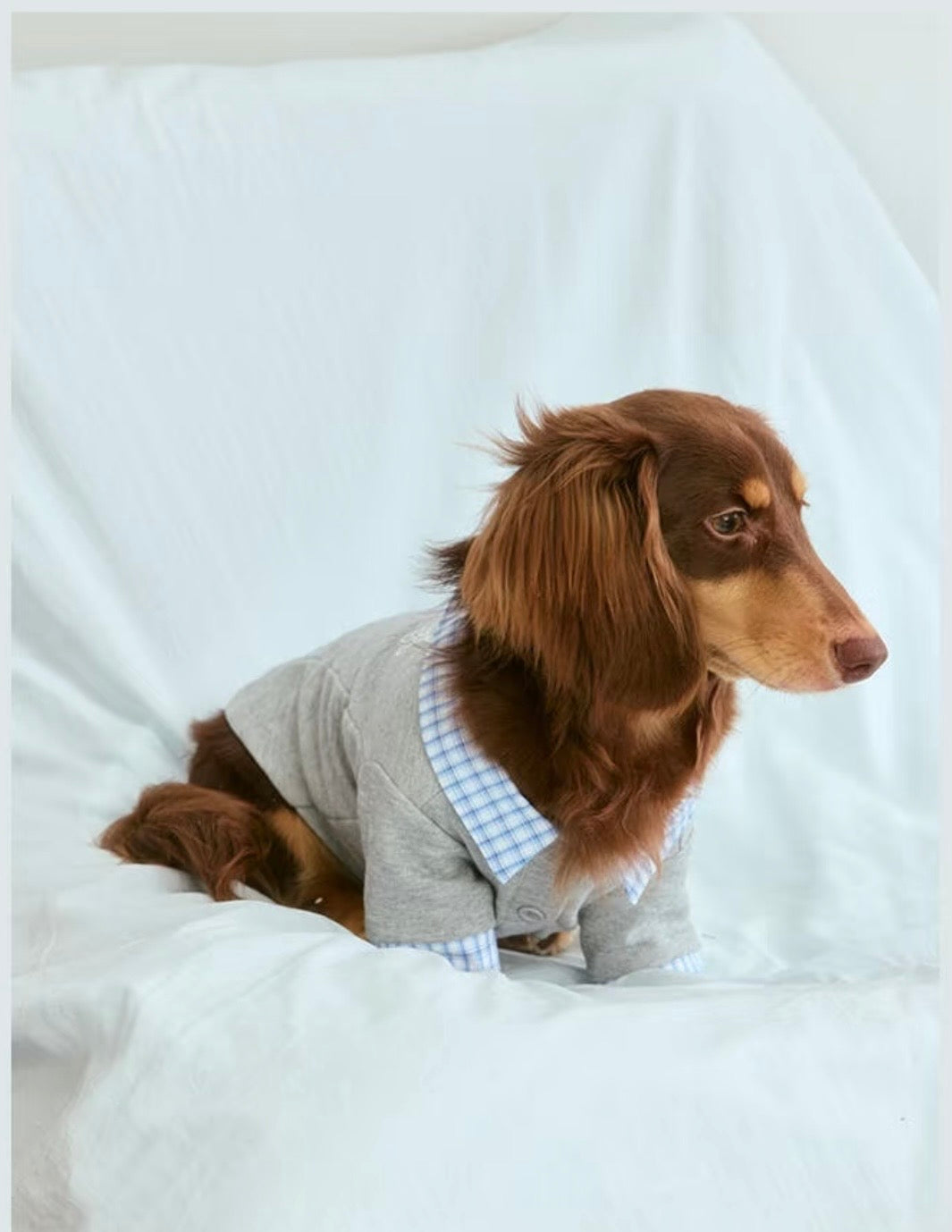 Gingham-Collar Knit Polo in gray