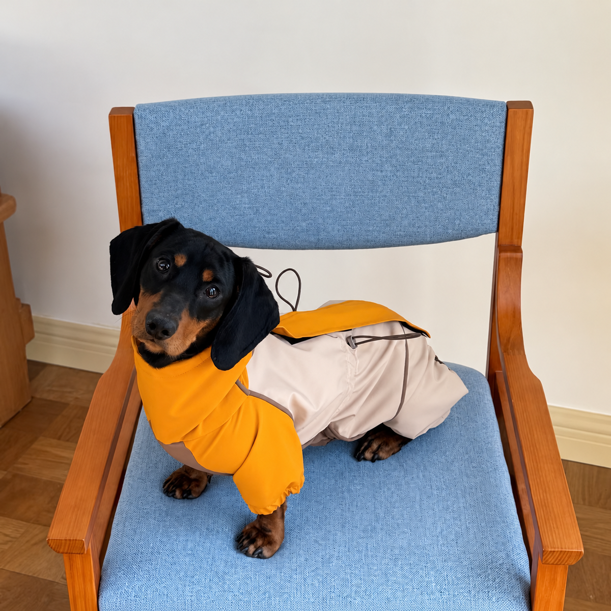 Dachshund Adventure Suit in mustard / taupe