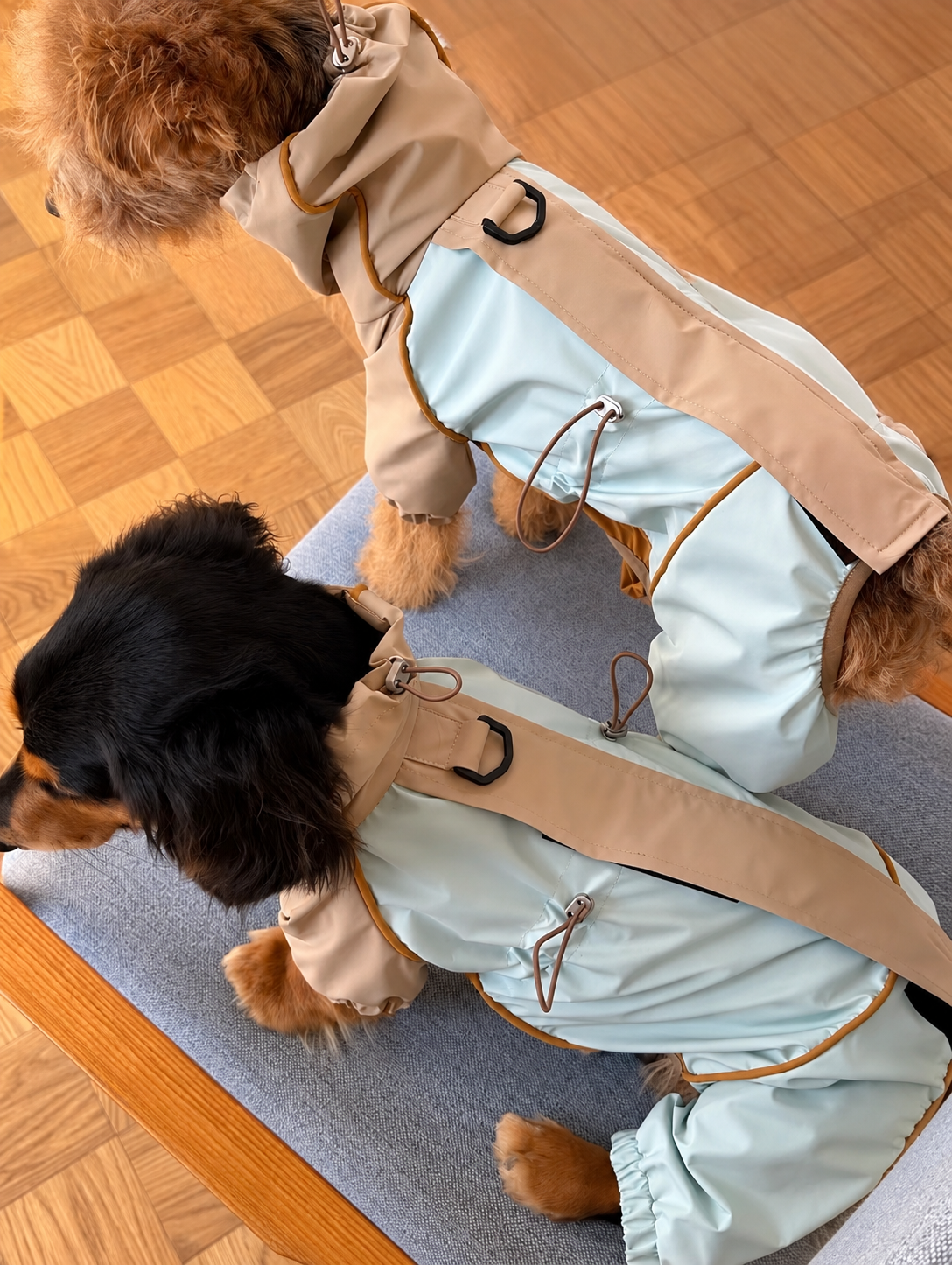 Dachshund Adventure Suit in sky / taupe