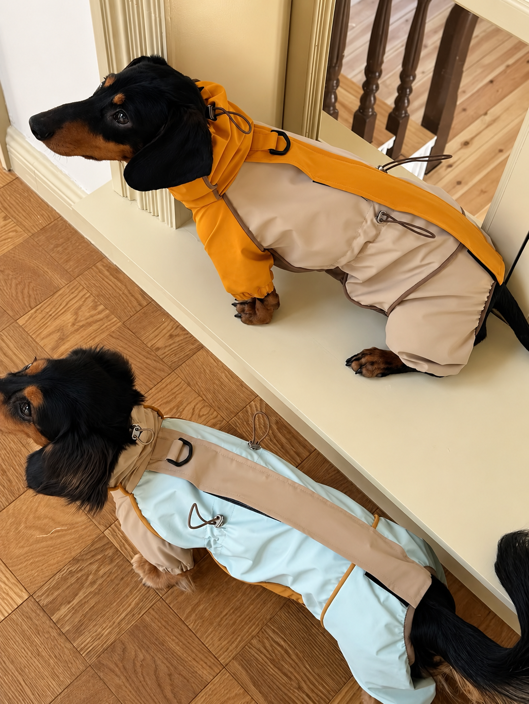 The Mustard / Taupe and Sky / Taupe suits from above, showing the neck cord, waist cord and back strap