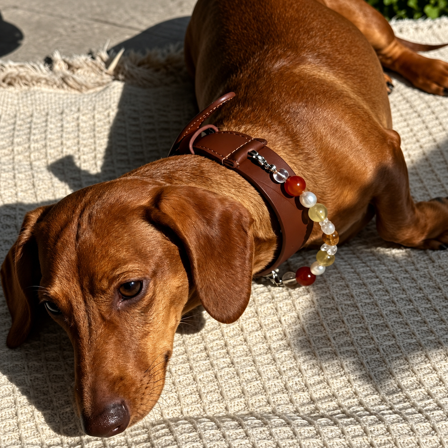 Jeweled Leather Collar, photo 6