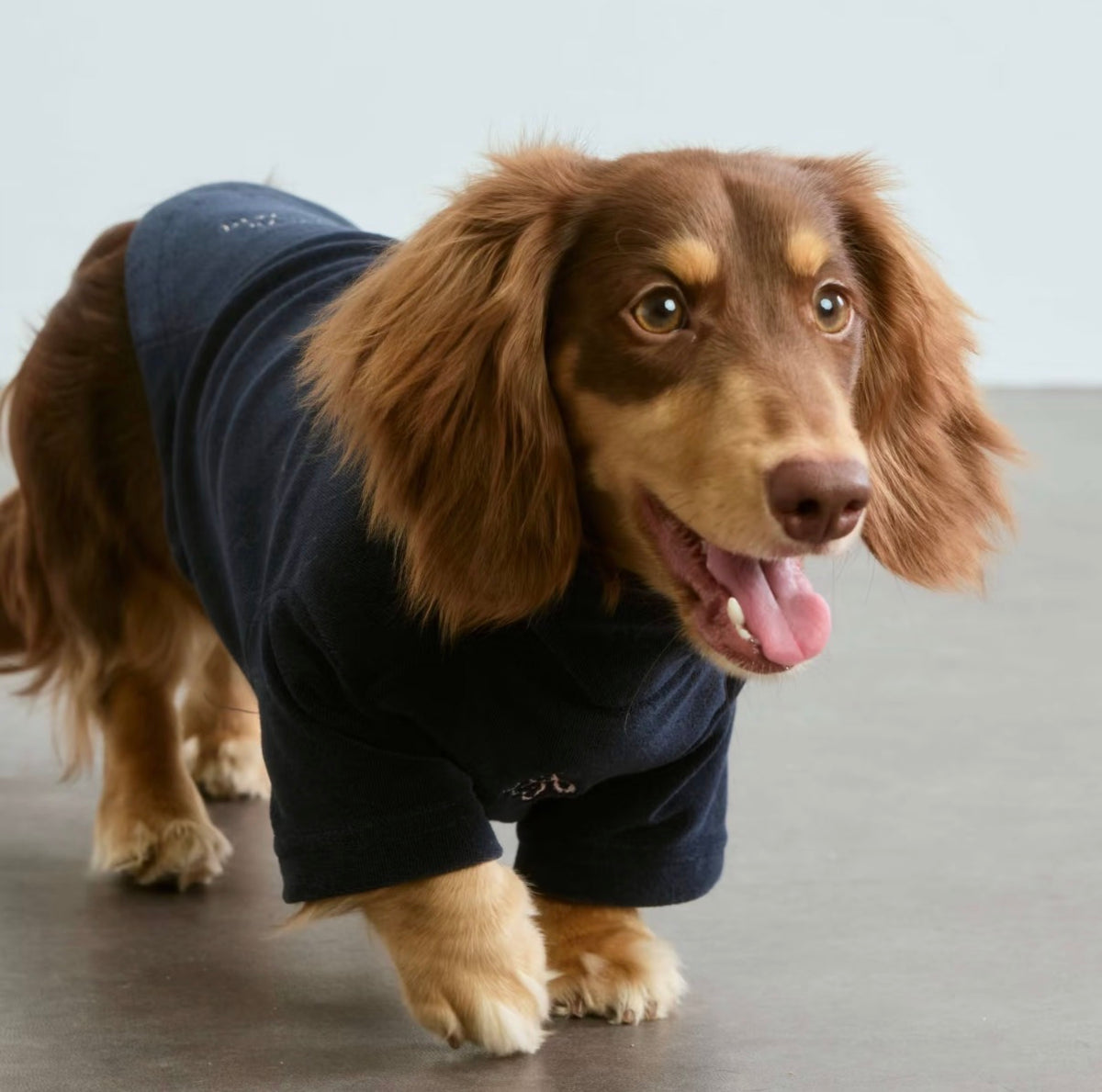Embroidered High-Neck Sweatshirt, photo 3