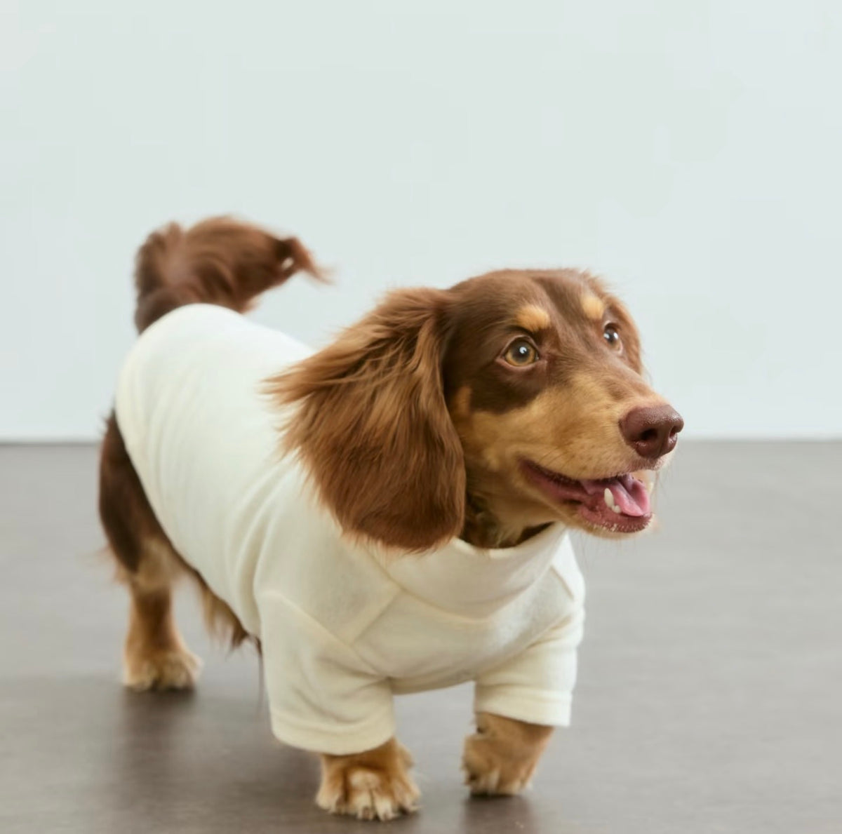 Embroidered High-Neck Sweatshirt in cream