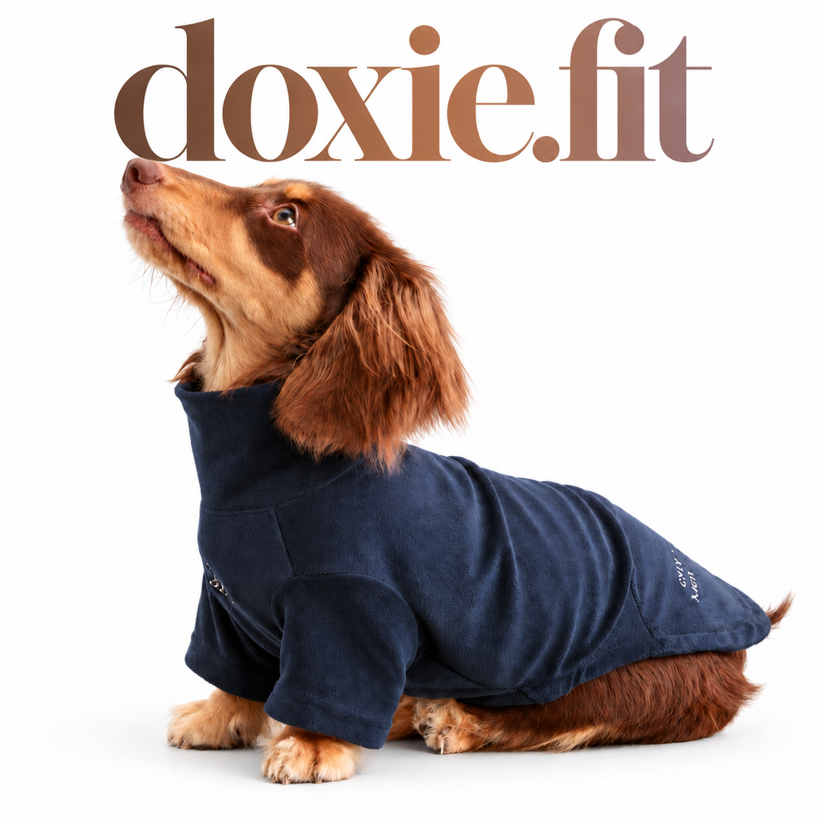 Embroidered High-Neck Sweatshirt on a dachshund, white studio background with centered gradient doxie.fit wordmark