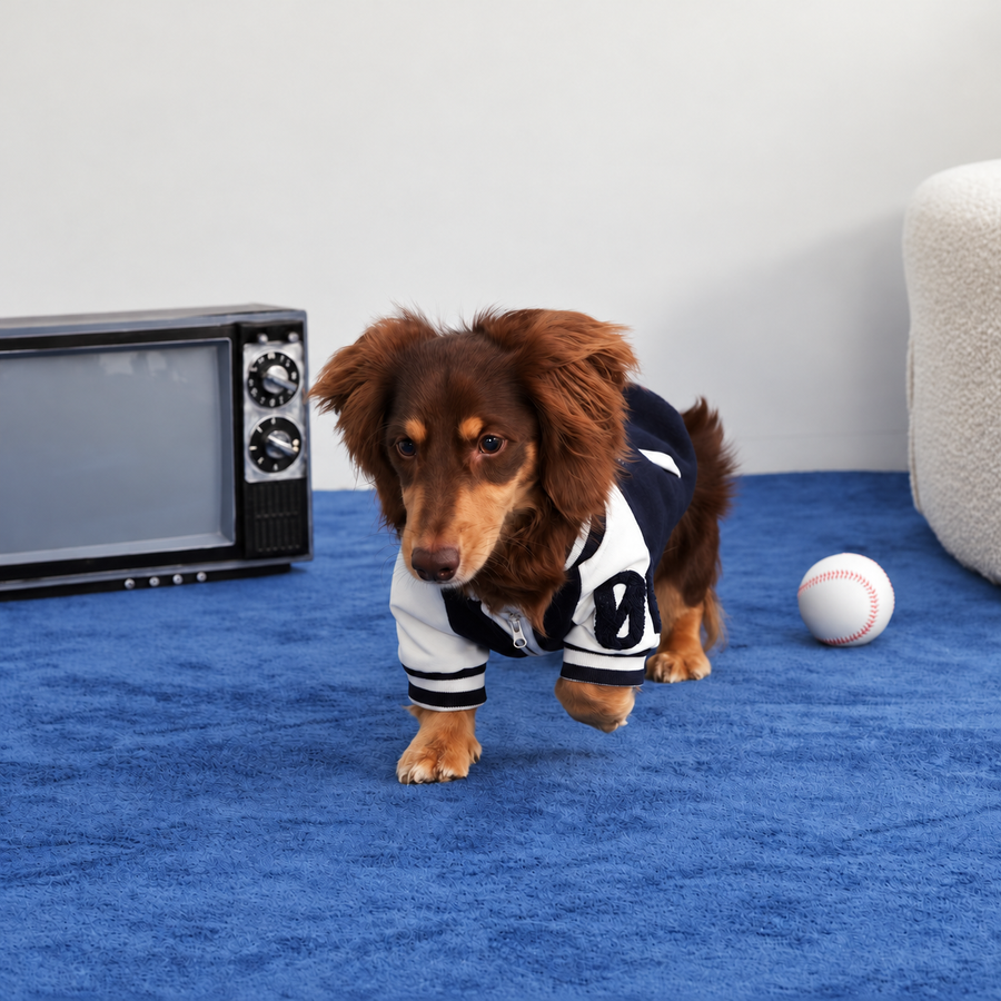 Varsity Jacket, photo 1