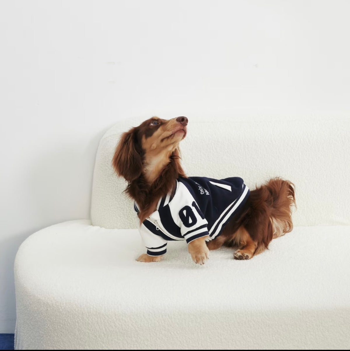 Varsity Jacket, photo 2