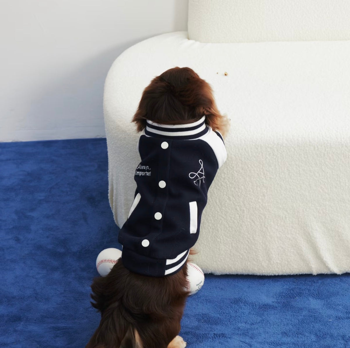 Back view of the varsity jacket with white snaps, pocket welts and embroidered lettering