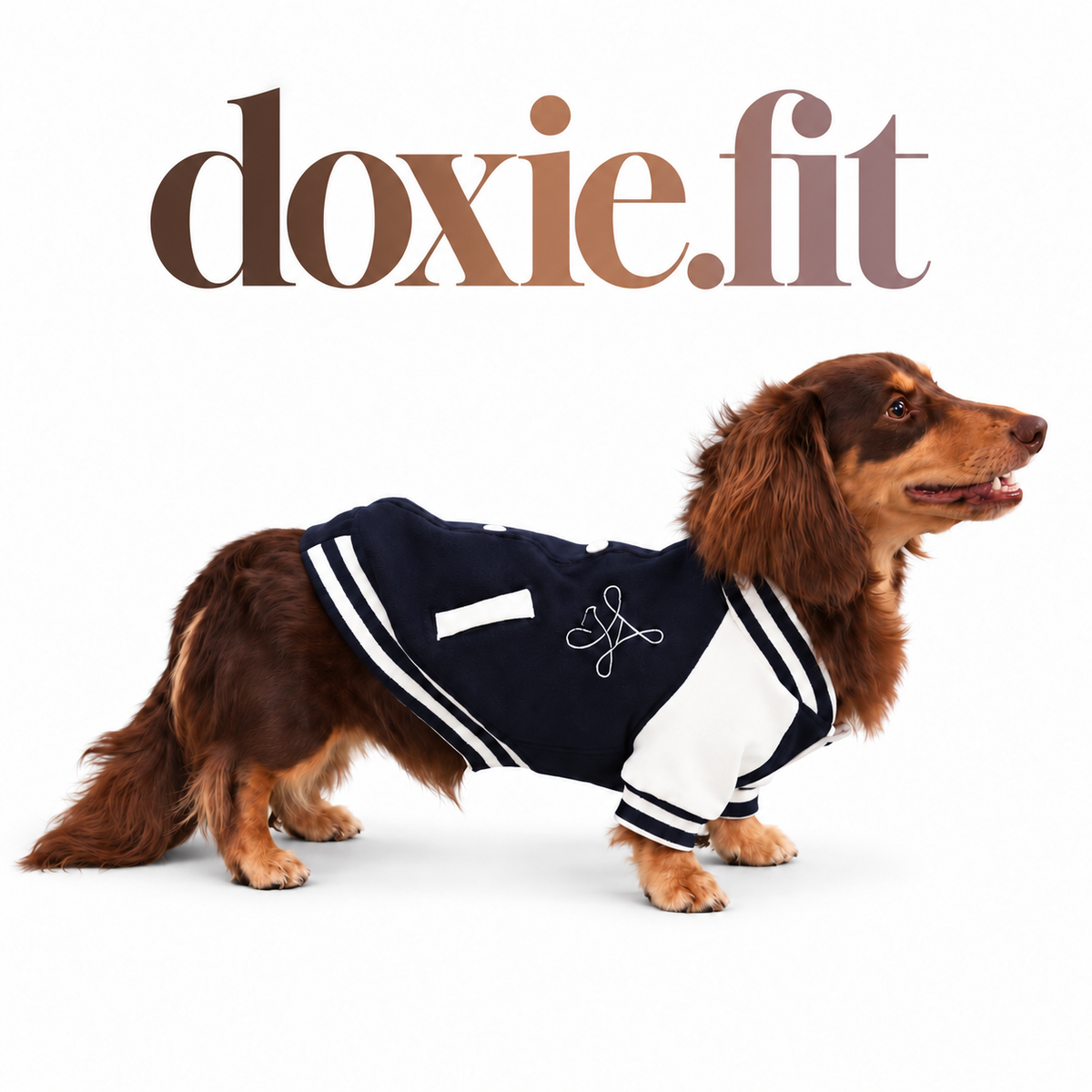 Varsity Jacket