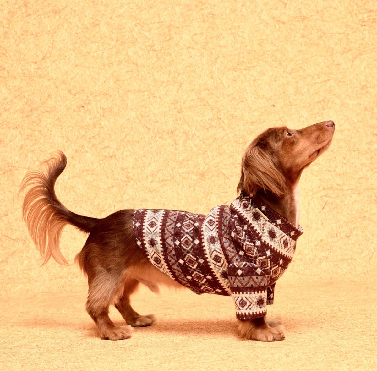 Zip-Back Jacquard Sweater, photo 2