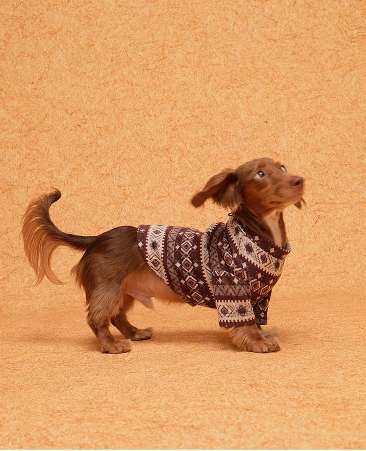 Zip-Back Jacquard Sweater, photo 7