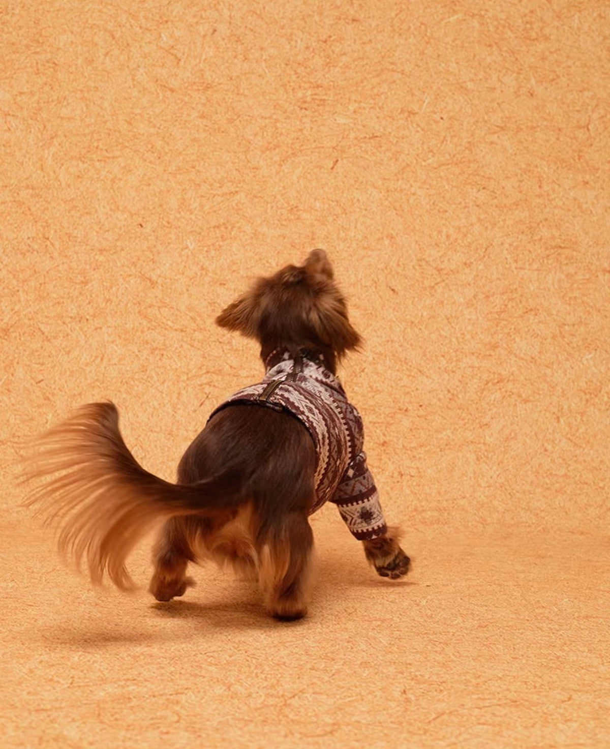 Zip-Back Jacquard Sweater, photo 9
