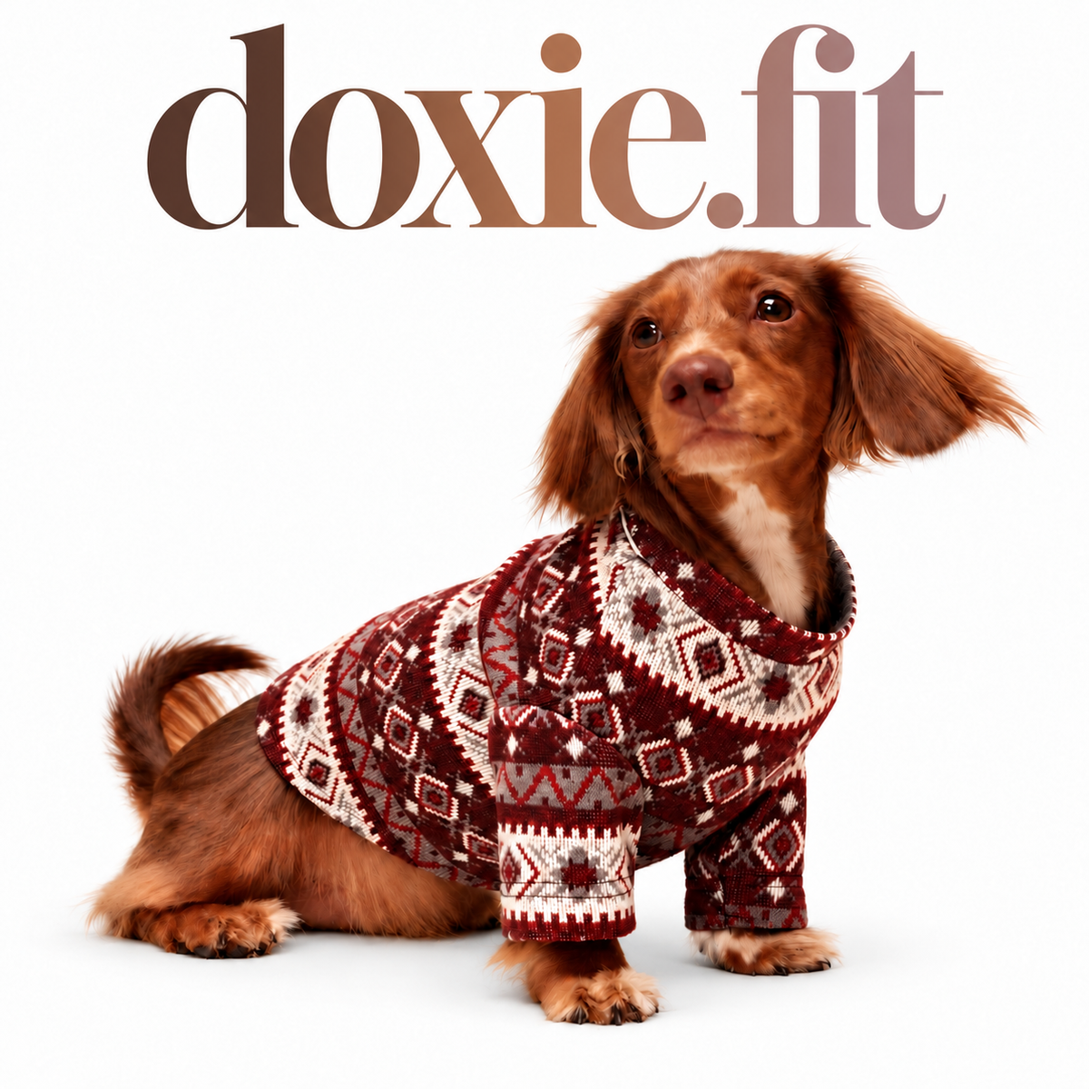 Christmas-Ready Dachshund Knits